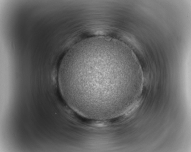 X0000098090175200804111010