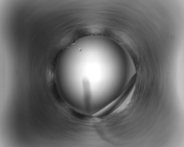 X0000098090176200804111010
