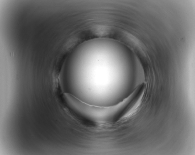 X0000098090180200804111010
