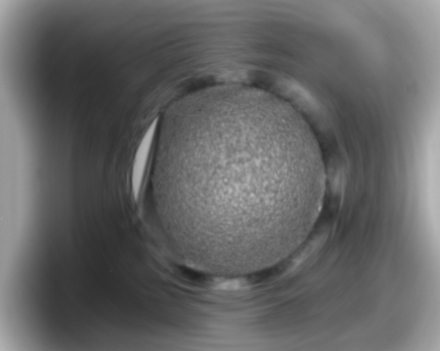 X0000098090185200804111010