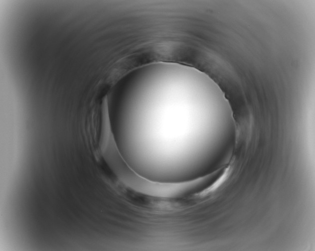 X0000098090186200804111010