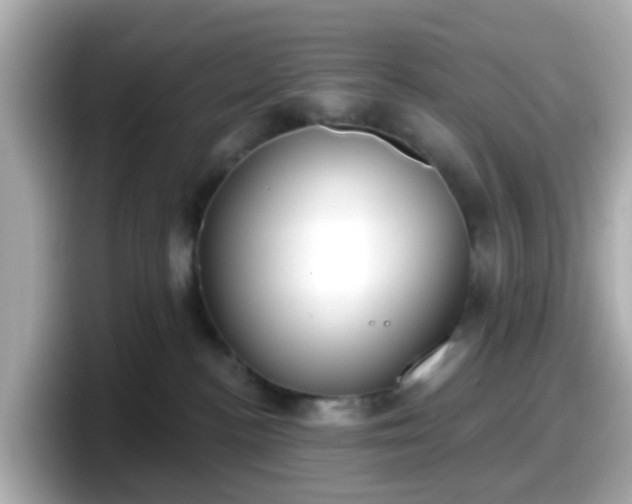 X0000098090188200804111010