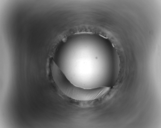 X0000098090192200804111010