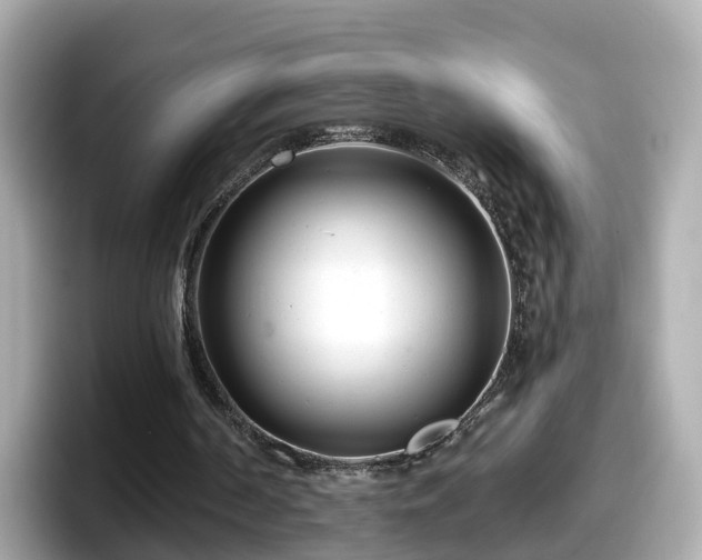 X0000098090194200804111009