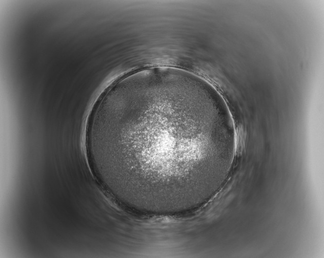 X0000098090195200804111009
