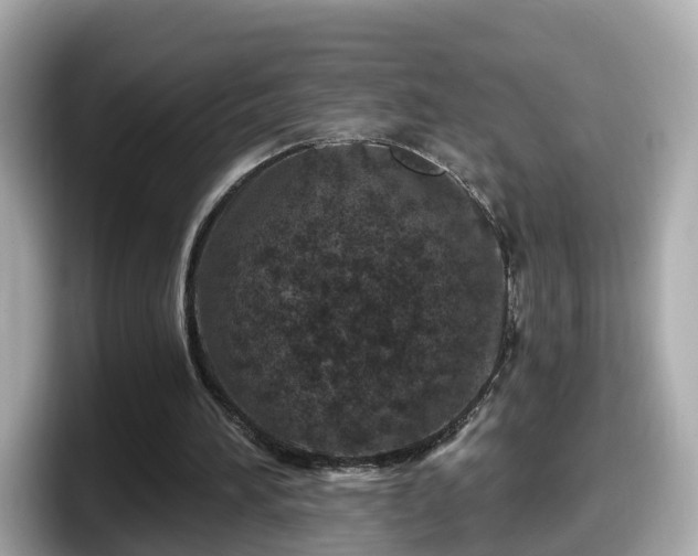 X0000098090196200804111009