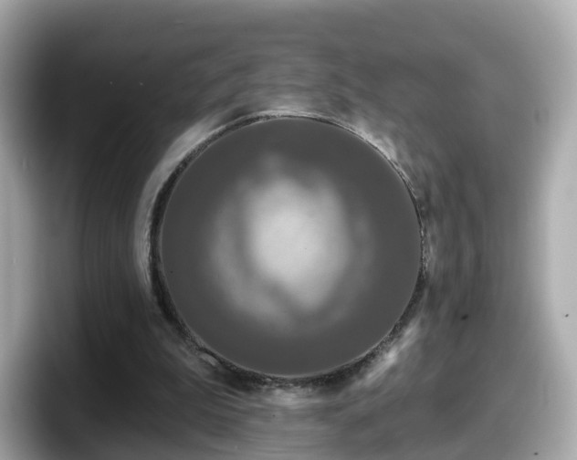 X0000098090199200804111009