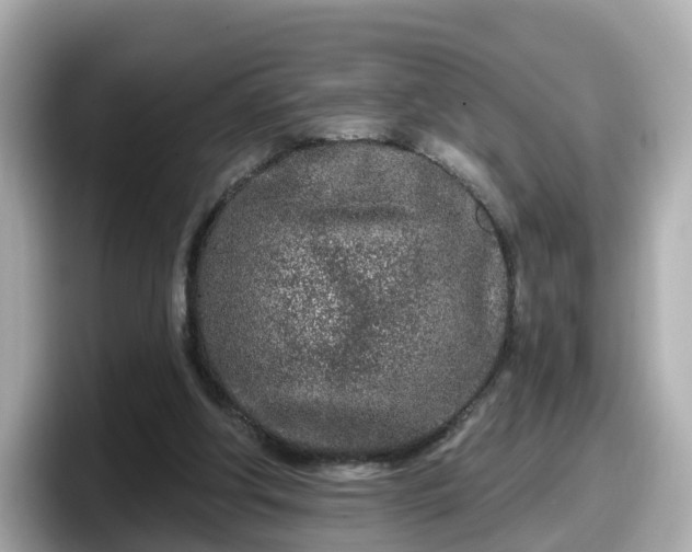 X0000098090202200804111009