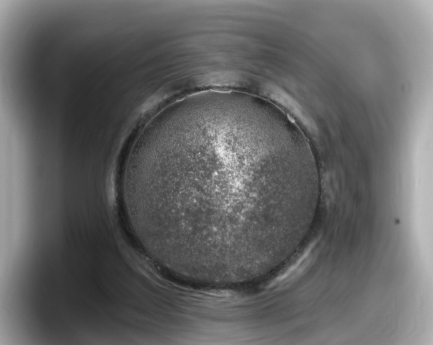 X0000098090203200804111009
