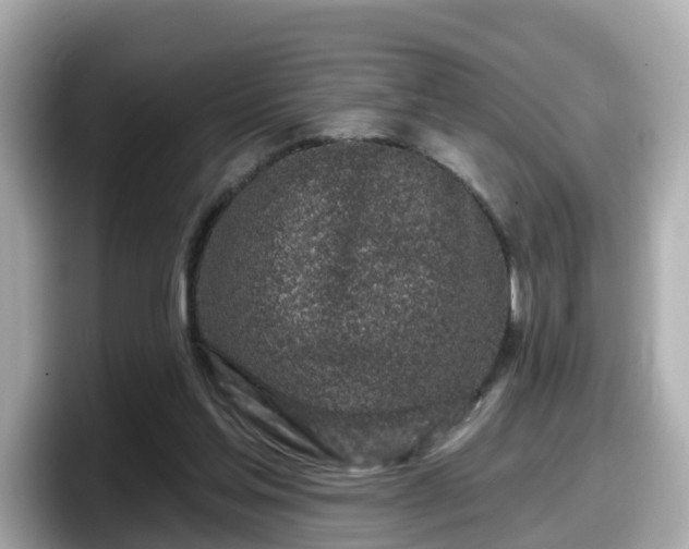 X0000098090205200804111009
