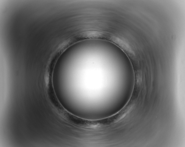 X0000098090206200804111009