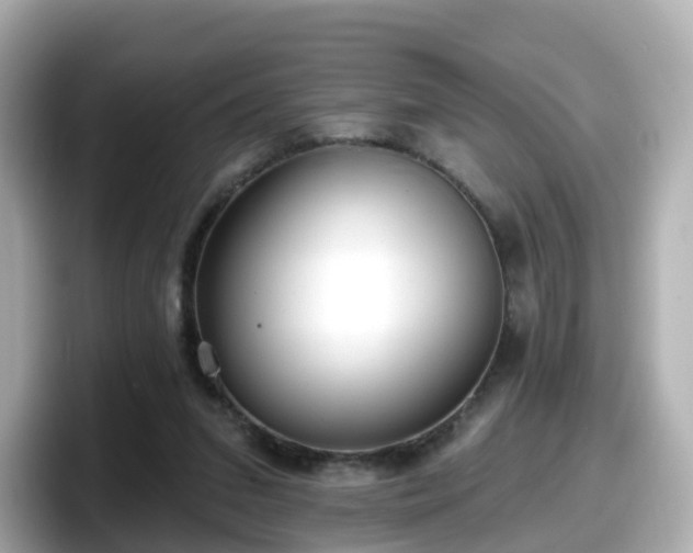 X0000098090207200804111009