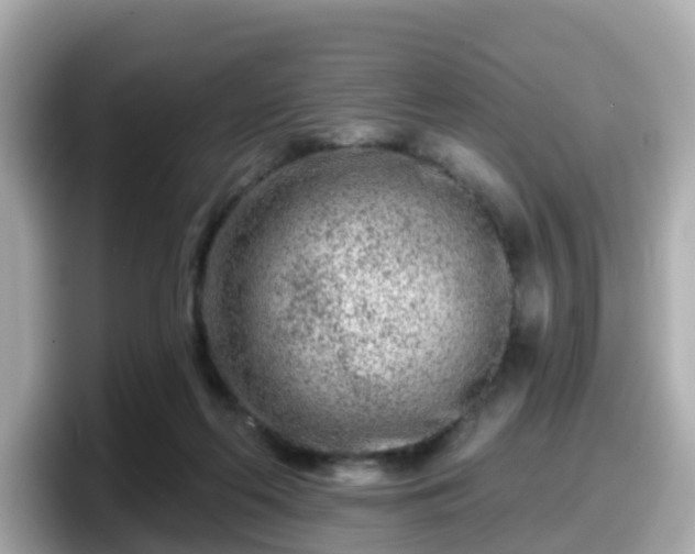 X0000098090214200804111009