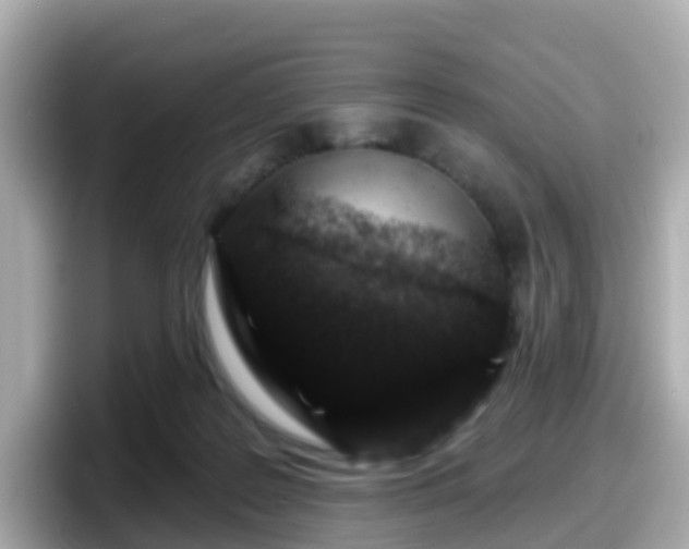 X0000098090219200804111009