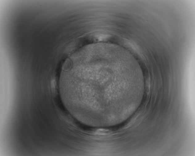 X0000098090222200804111009