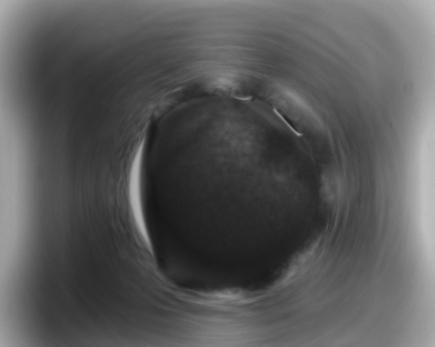 X0000098090223200804111009