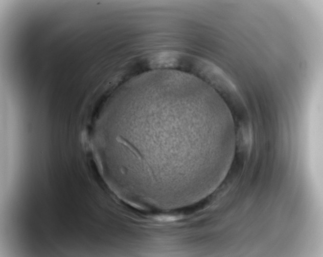X0000098090224200804111009