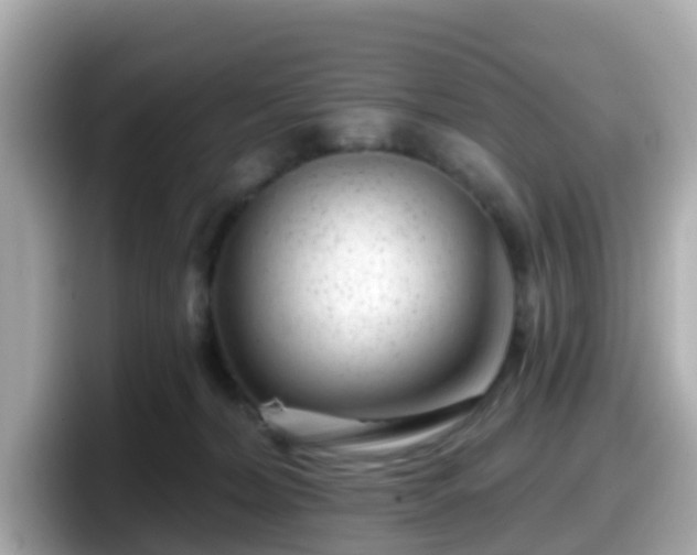 X0000098090228200804111009
