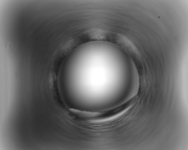 X0000098090229200804111009