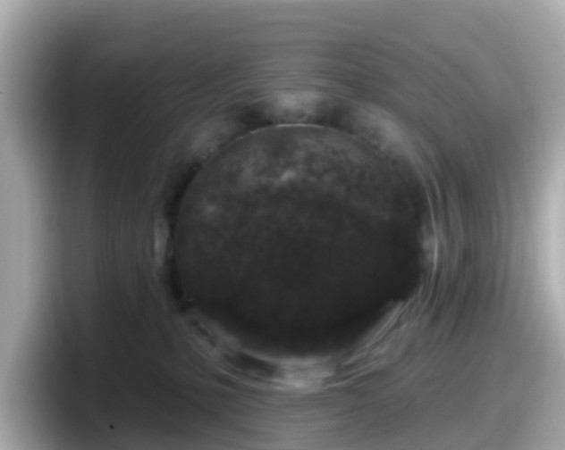 X0000098090231200804111009