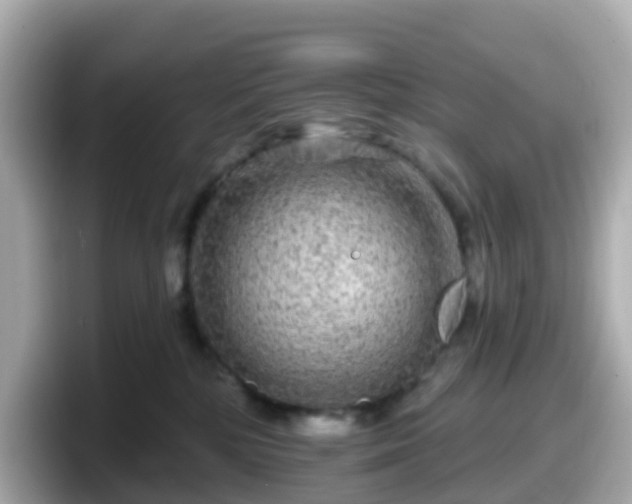 X0000098090232200804111009