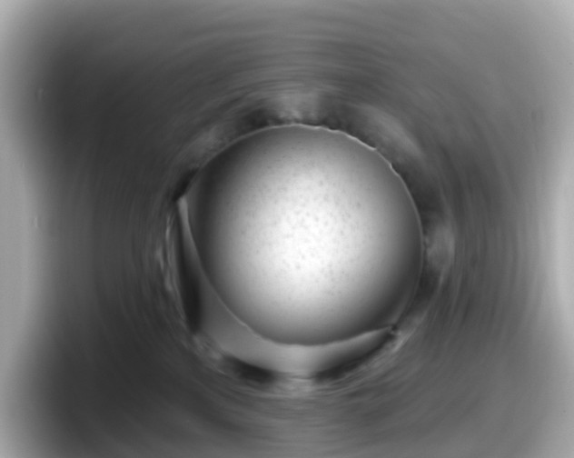 X0000098090233200804111009