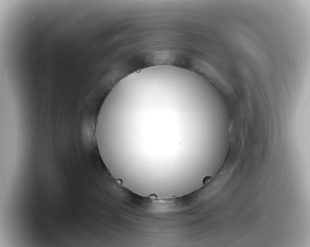 X0000098090240200804111009