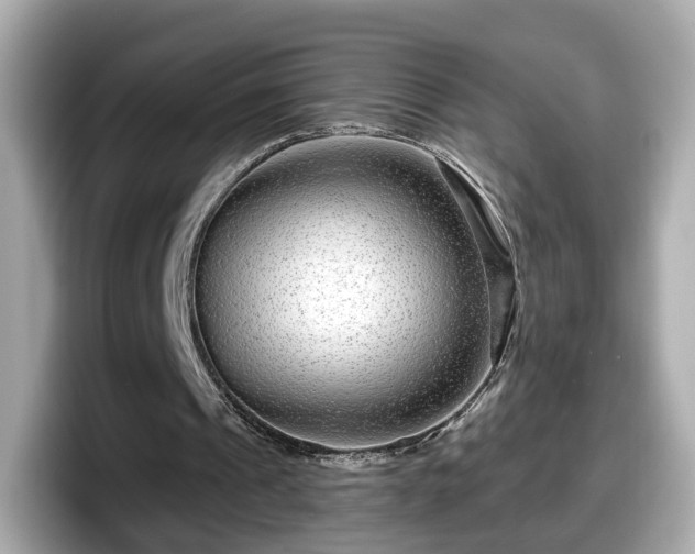 X0000098090241200804111008