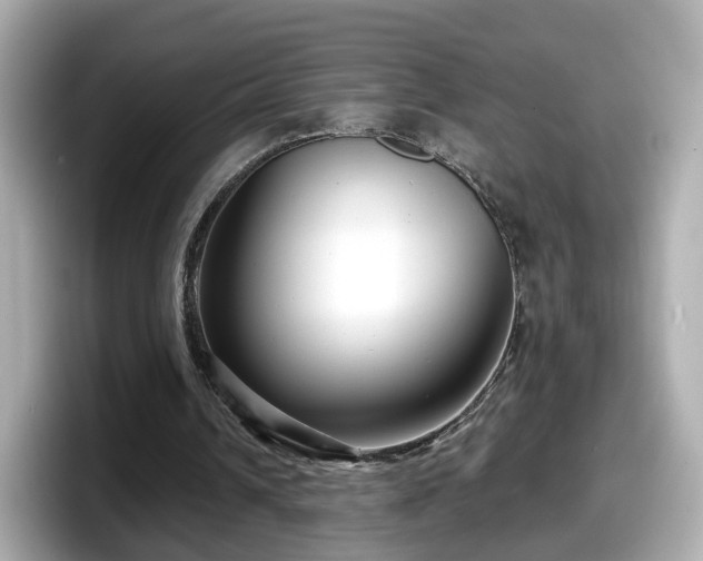 X0000098090242200804111008