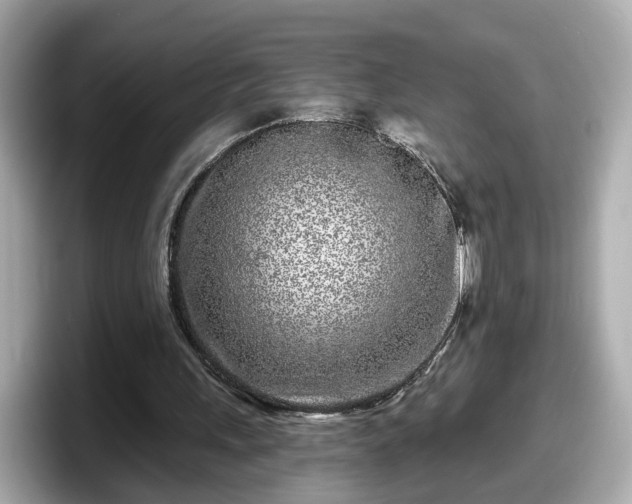 X0000098090243200804111008