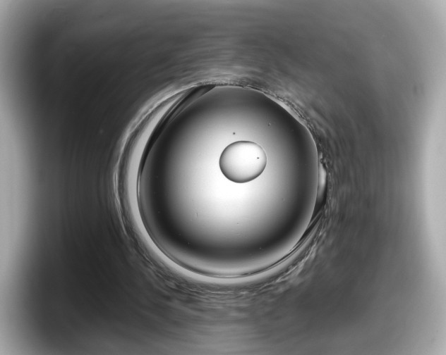 X0000098090244200804111008