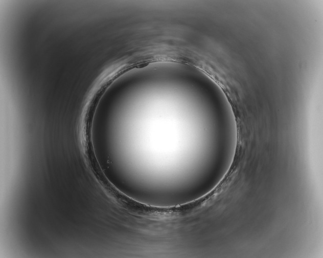 X0000098090245200804111008