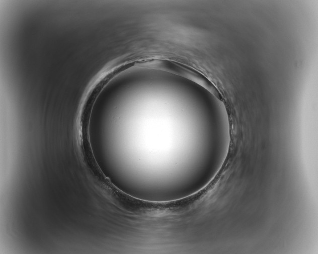 X0000098090246200804111008