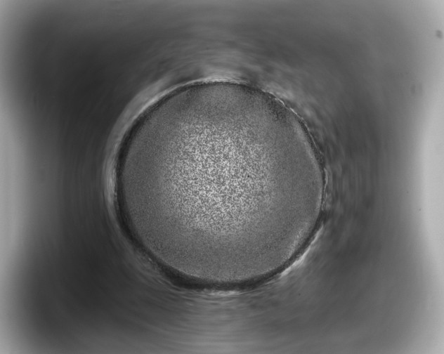 X0000098090247200804111008