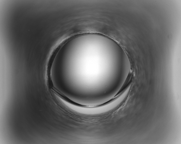 X0000098090248200804111008