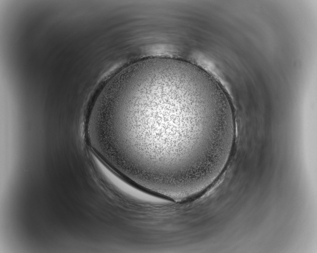 X0000098090249200804111008