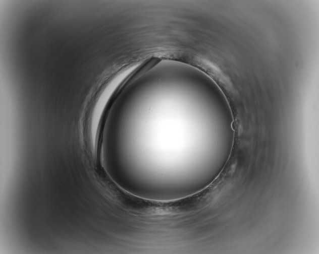 X0000098090250200804111008