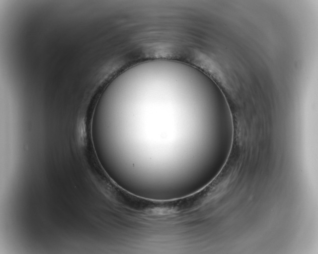 X0000098090251200804111008