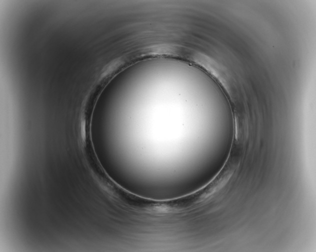 X0000098090253200804111008