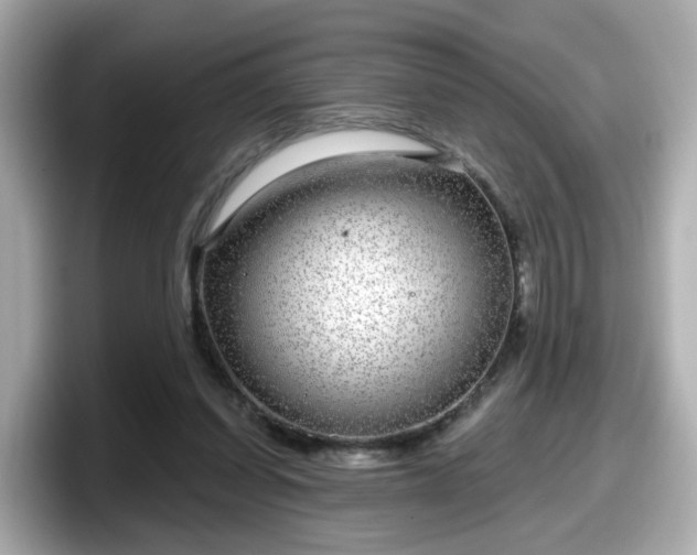 X0000098090254200804111008