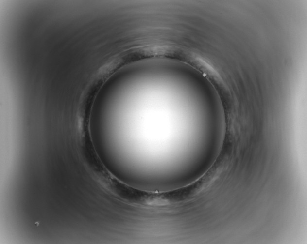 X0000098090258200804111008