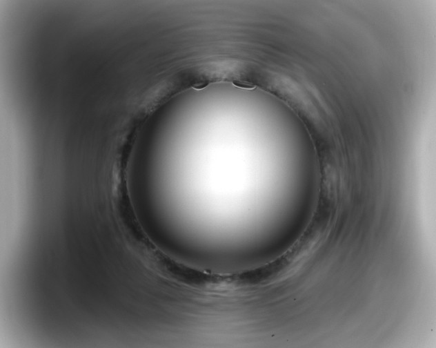 X0000098090259200804111008