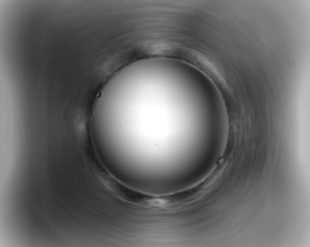 X0000098090265200804111008