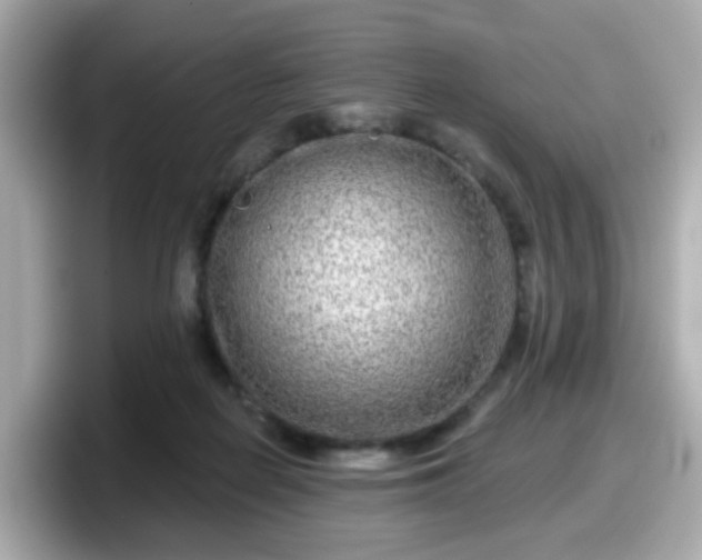 X0000098090266200804111008