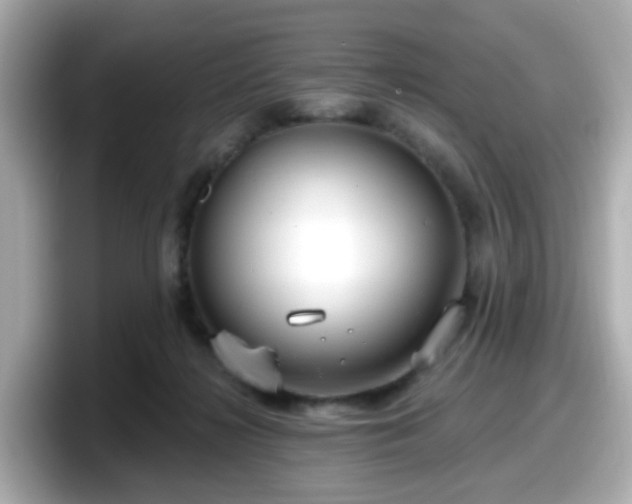 X0000098090268200804111008