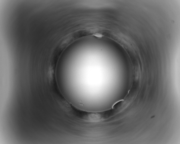 X0000098090279200804111009
