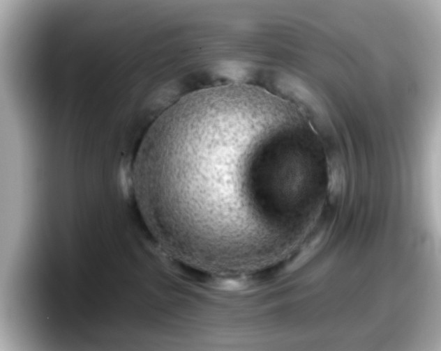 X0000098090285200804111009