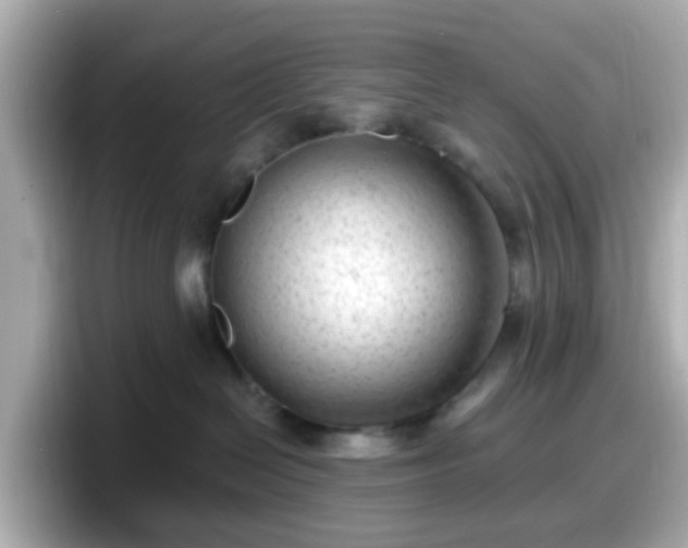 X0000098090286200804111009