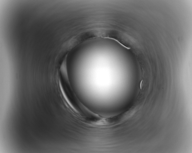 X0000098090288200804111009