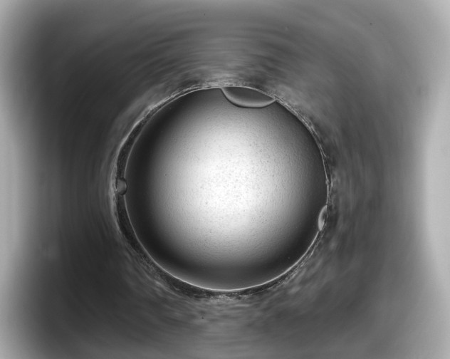 X0000098090290200804111008